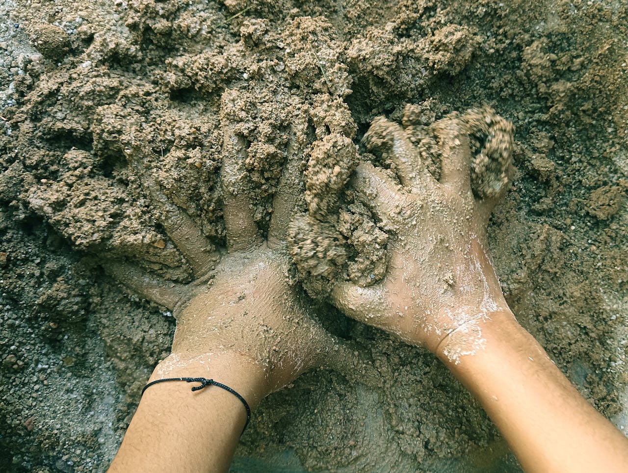 6 Selections That Perform Well in Clay Soil