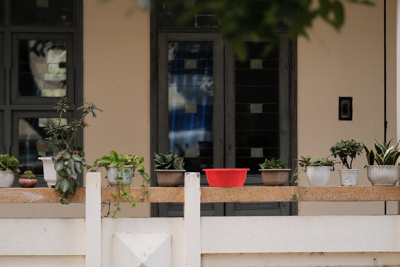 5 Container Garden Ideas That Work on Small Balconies