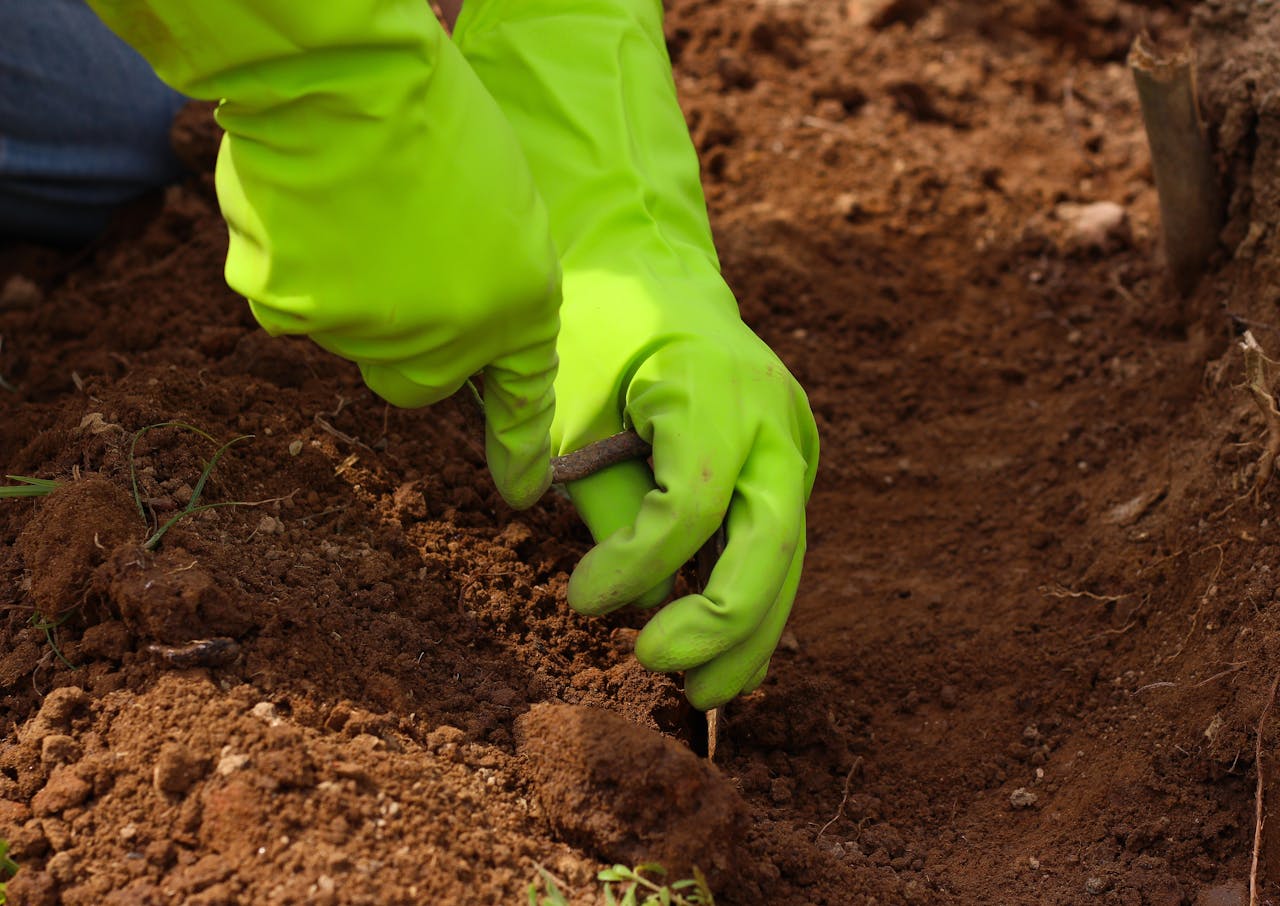 Why Soil Testing Matters More Before Summer Than Any Other Time