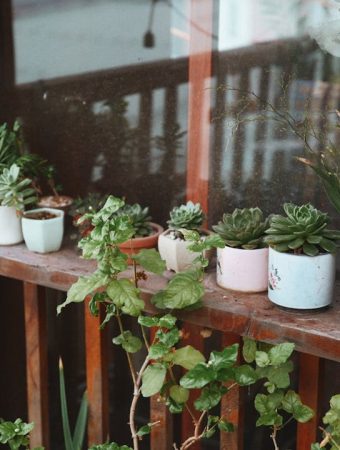 5 Container Garden Ideas That Work on Small Balconies