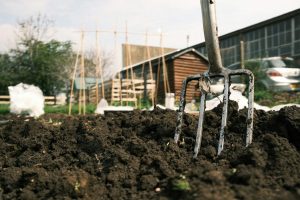 Why Adding Compost Now Can Transform Soil Quality