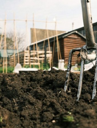 Why Adding Compost Now Can Transform Soil Quality