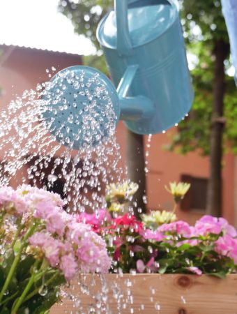 Why Water Control Matters More Than Water Volume