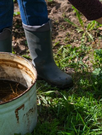 Supercharge Your Soil: How to Brew Compost Tea or Worm Castings Tea at Home