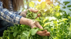 8 Late Season Picks That Still Produce