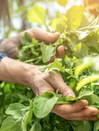 8 Late Season Picks That Still Produce