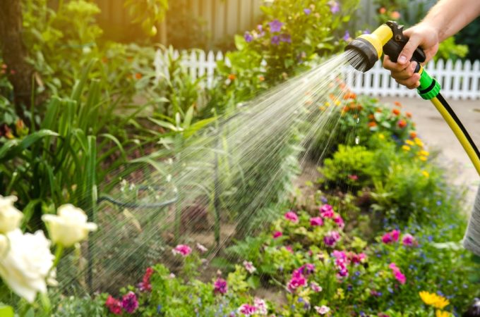 11 Gardening Mistakes Beginners Make Every Summer