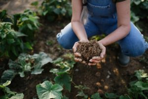 5 Soil Health Improvements That Deliver Quick Results