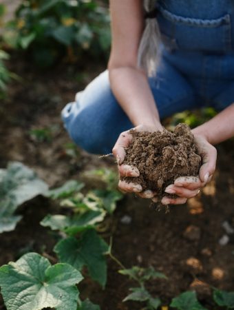 5 Soil Health Improvements That Deliver Quick Results