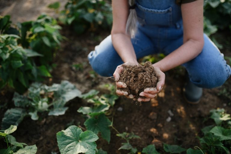 5 Soil Health Improvements That Deliver Quick Results