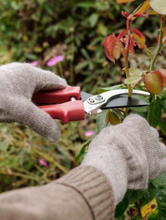 5 Garden Tasks You Should Finish Before Summer Begins
