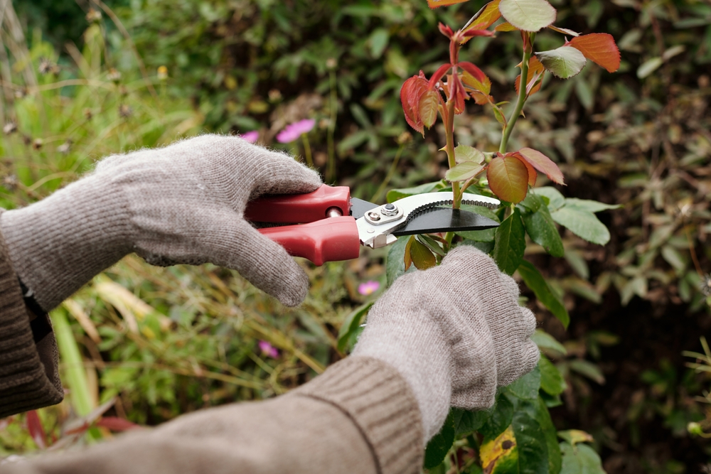 5 Garden Tasks You Should Finish Before Summer Begins