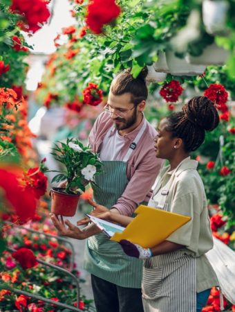 The Garden Center Advice That Cost Me Hundreds of Dollars