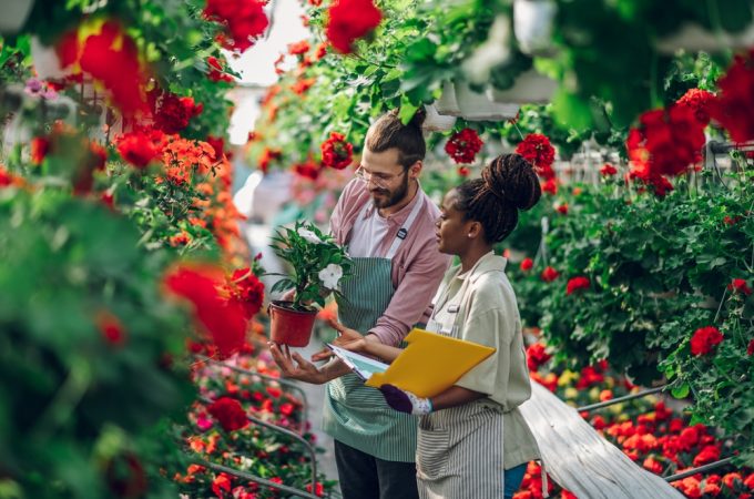 The Garden Center Advice That Cost Me Hundreds of Dollars