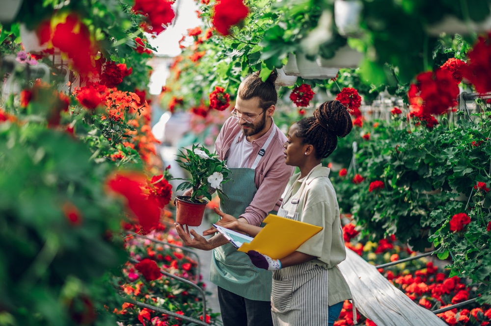 The Garden Center Advice That Cost Me Hundreds of Dollars