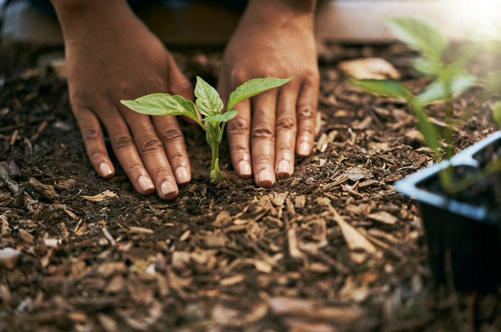 5 Soil Health Improvements That Deliver Quick Results