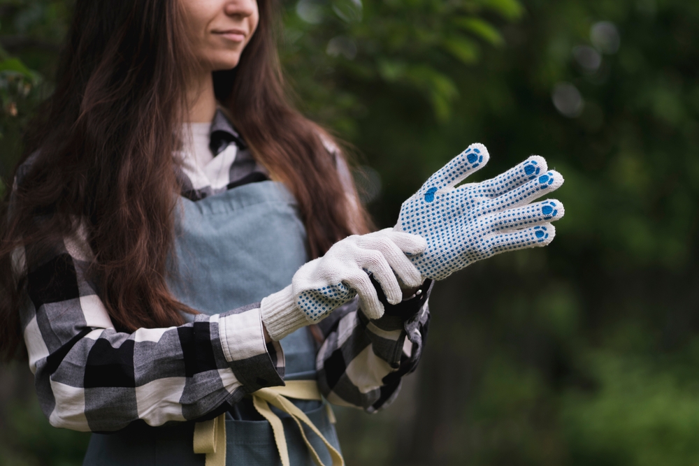 7 Budget Tools Every Gardener Needs for Safe, Clean Shrub Pruning