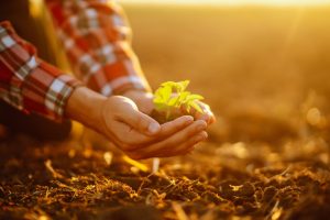 5 Growth Techniques That Improve Results