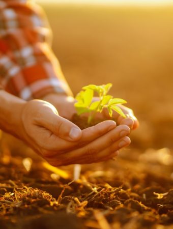 5 Growth Techniques That Improve Results