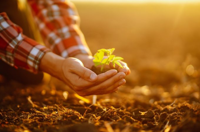 5 Growth Techniques That Improve Results