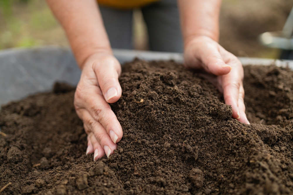 6 Low-Nutrient Soil Options That Still Produce Results