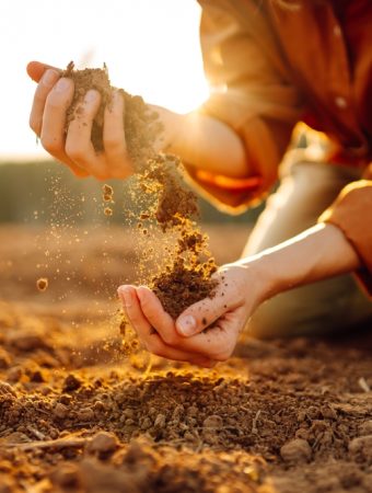 5 Maintenance Habits That Keep Growth Consistent