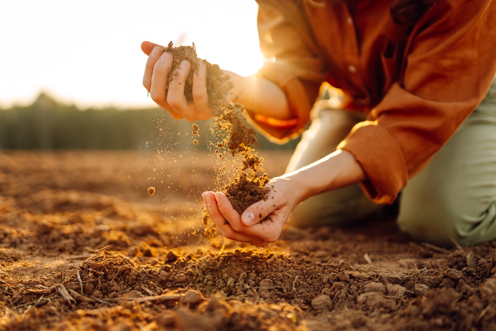 5 Maintenance Habits That Keep Growth Consistent