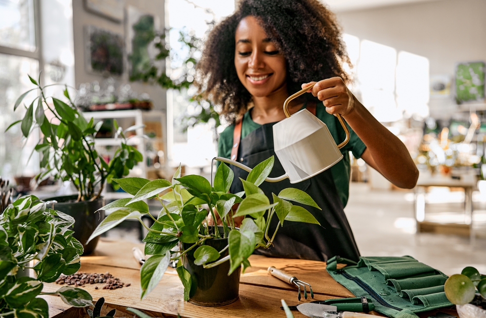 The Overwatering Issue That Weakens Root Systems