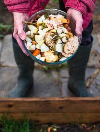 5 Health-Boosting Soil Practices That Work Quickly