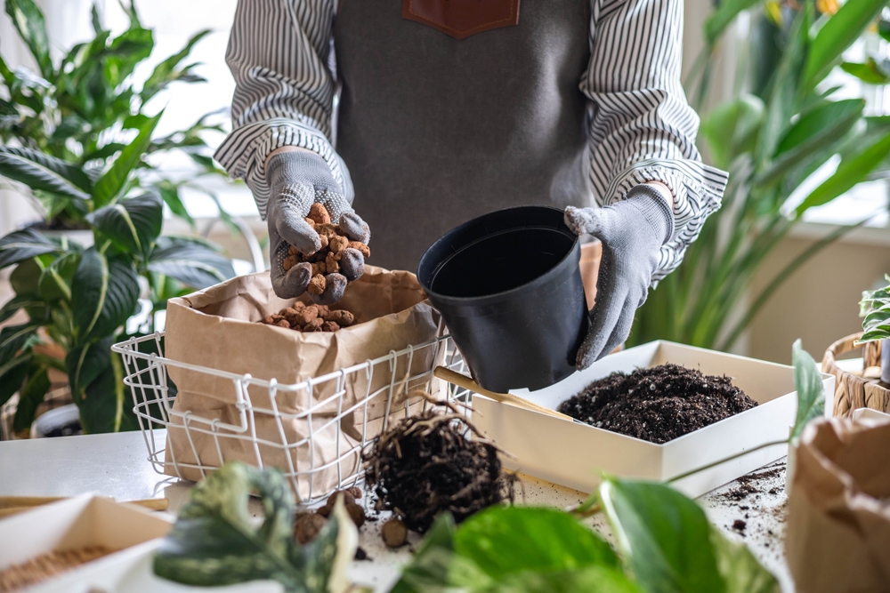 6 Low-Nutrient Soil Options That Still Produce Results