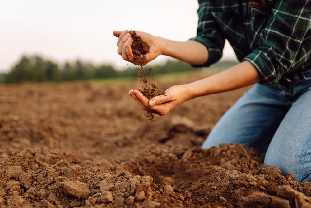 Why Nutrient Imbalances Slow Growth Over Time