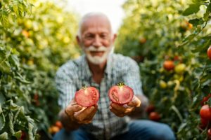 6 Companion-Friendly Pairings That Improve Soil Health