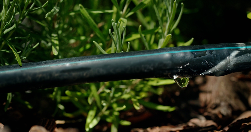 Is Your Irrigation Ready for Summer? Quick Checks and Cheap Fixes to Beat the Heat