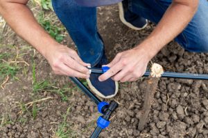 Is Your Irrigation Ready for Summer? Quick Checks and Cheap Fixes to Beat the Heat