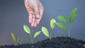 The Nutrient Deficiency Problem That Slows Development