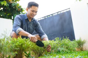 5 Smart Layout Adjustments That Increase Yield