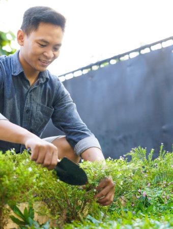 5 Smart Layout Adjustments That Increase Yield