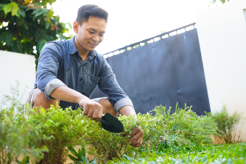 5 Smart Layout Adjustments That Increase Yield