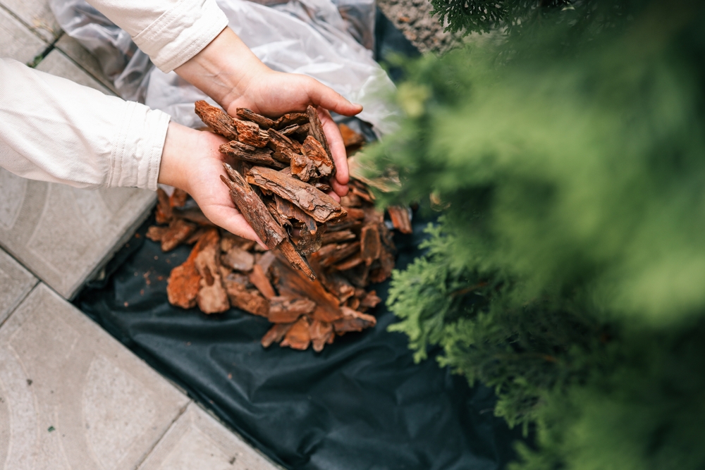 Why Mulch Is Essential for Retaining Soil Moisture