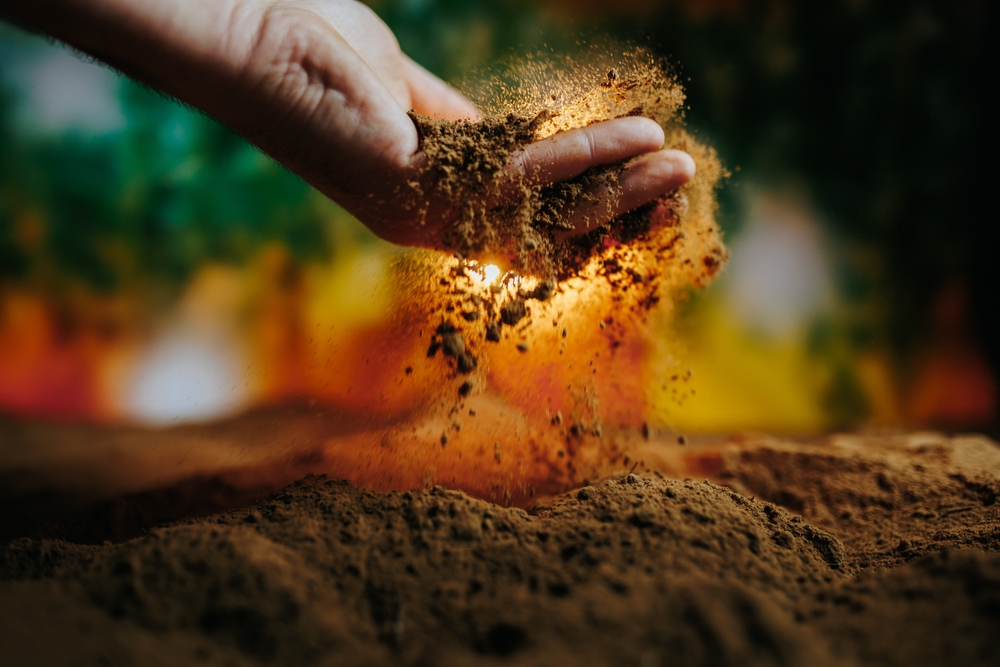 5 Health-Boosting Soil Practices That Work Quickly
