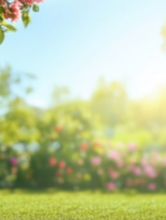 Why Sun Exposure Determines Growth Success
