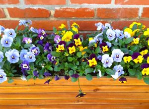 7 Spring Weather Selections That Handle Fluctuations
