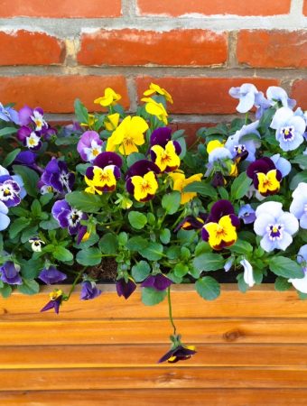 7 Spring Weather Selections That Handle Fluctuations