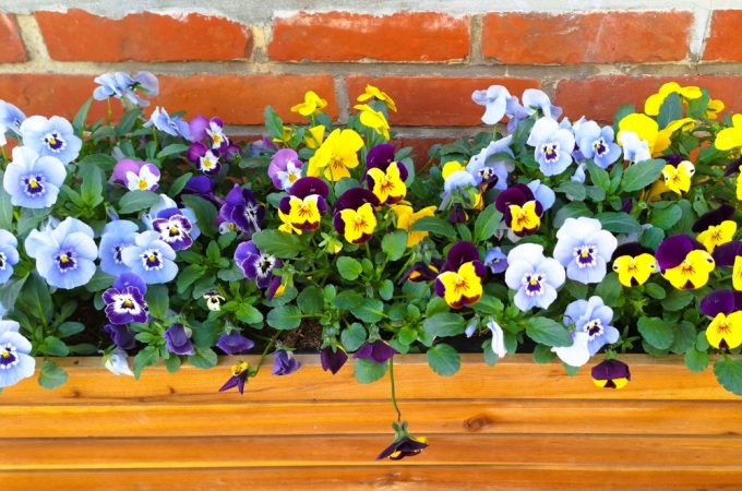 7 Spring Weather Selections That Handle Fluctuations