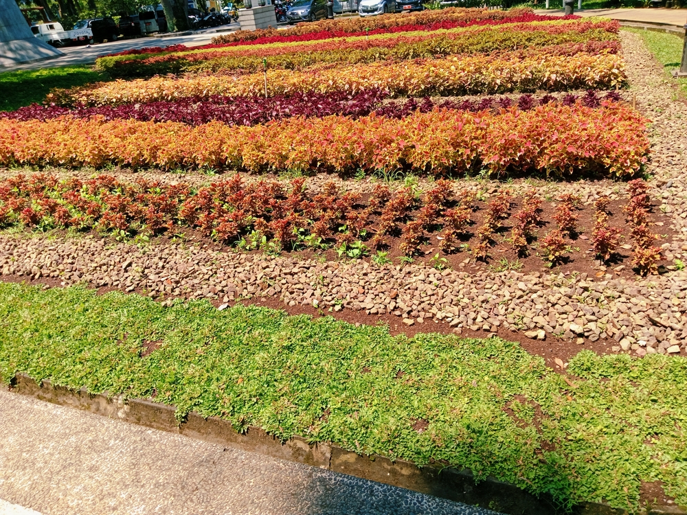 5 Smart Layout Adjustments That Increase Yield