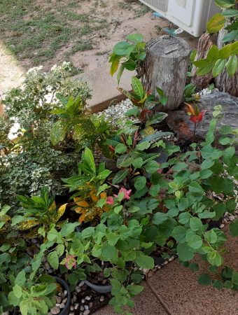 6 Small Garden Solutions That Maximize Space