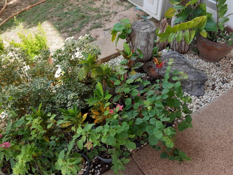 6 Small Garden Solutions That Maximize Space