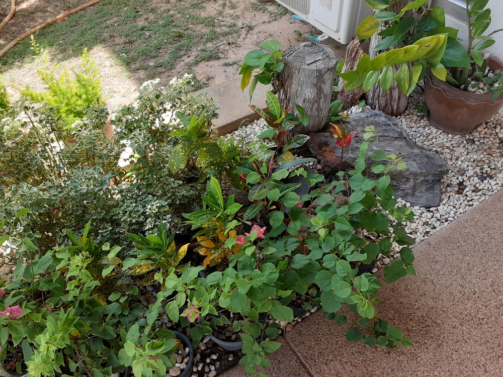 6 Small Garden Solutions That Maximize Space