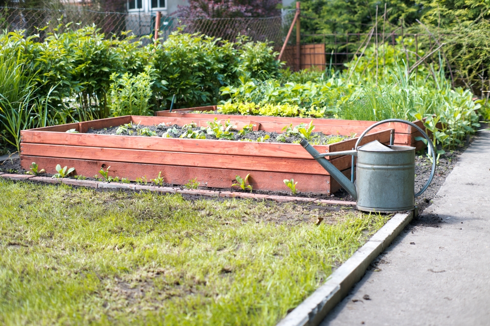6 Raised Bed Success Picks That Deliver Reliable Results
