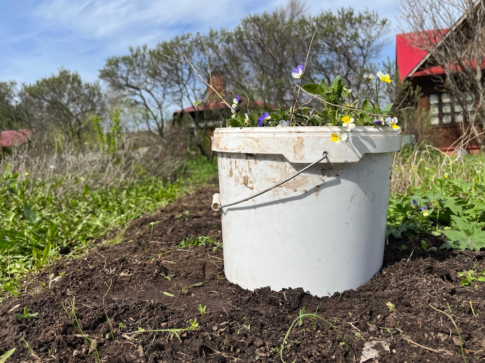 Turn Household Containers Into Thriving Veggie Gardens With Buckets, Totes & Milk Jugs
